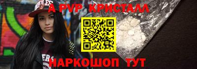 стаф Будённовск