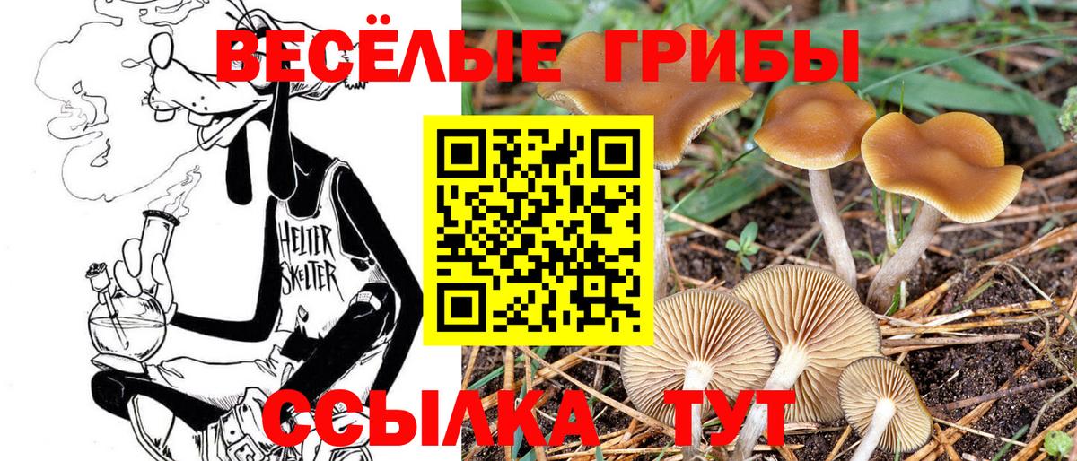 Галлюциногенные грибы прущие грибы Щёлково