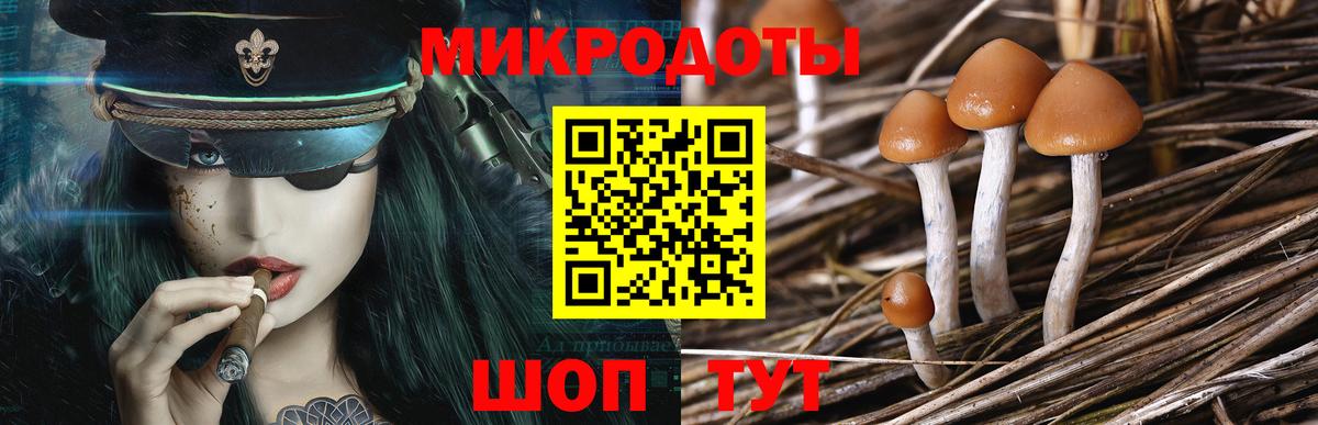 Щёлково  Псилоцибиновые грибы мухоморы  Вход с VPN 